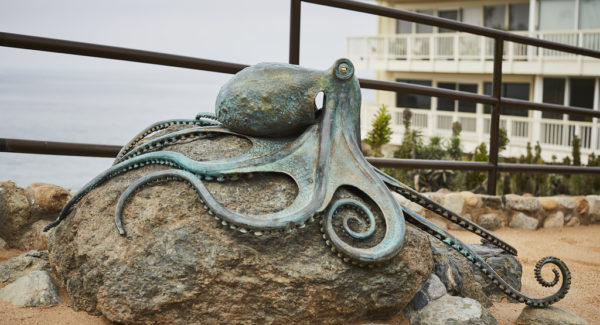 ocean gallery - coastal wildlife sculptures - octopus statue